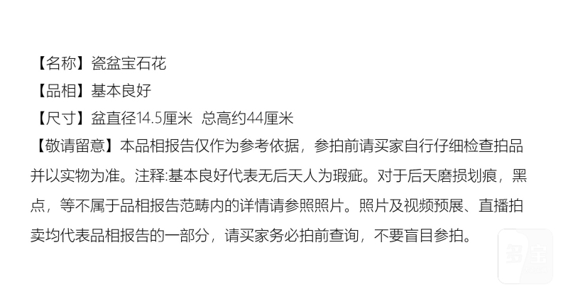 二十世纪 瓷盆宝石花 - 图7